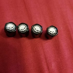 HARLEY-DAVIDSON VALVE STEM COVERS